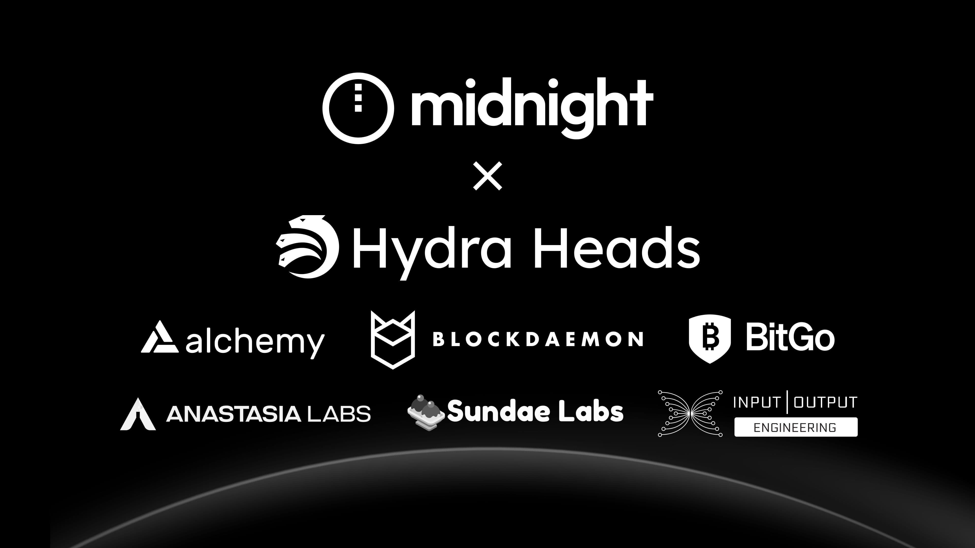Midnight x Hydra Heads