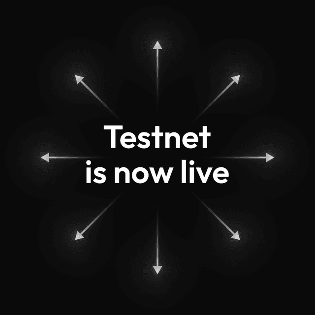 Midnight testnet